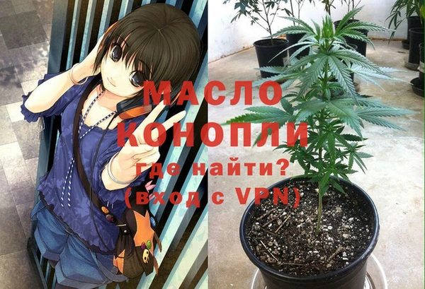твердый Арсеньев