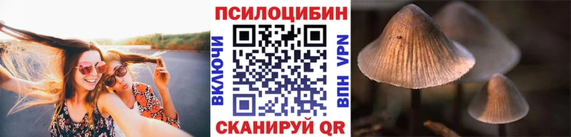 Галлюциногенные грибы мухоморы Таштагол