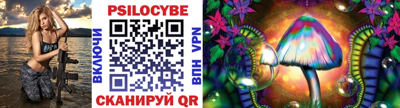 купить   Таштагол  Псилоцибиновые грибы Cubensis 